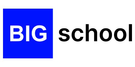 Logotipo de BIG School
